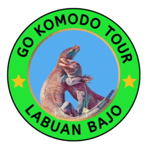 gokomodotour