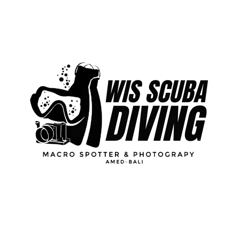 wisscubadiving